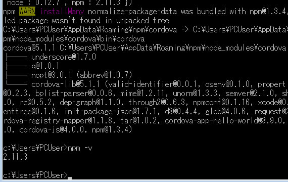 コマンドプロンプト画面04